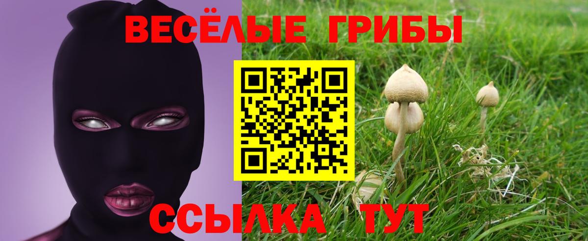 Галлюциногенные грибы мицелий Уварово